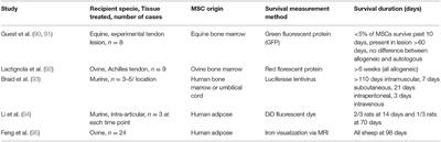 Interactions Between Allogeneic Mesenchymal Stromal Cells and the Recipient Immune System: A Comparative Review With Relevance to Equine Outcomes